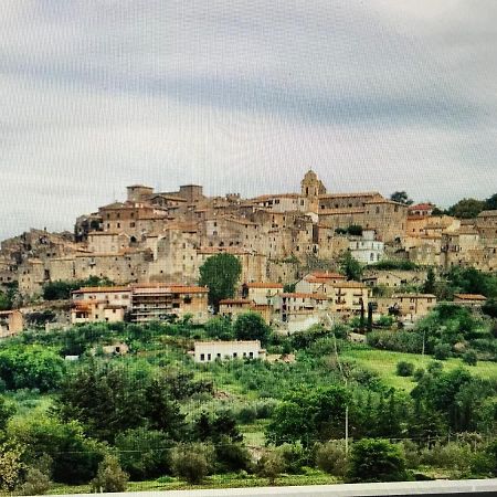 Castiglione Apartament You&Me Apartment Castiglione In Teverina Bagian luar foto
