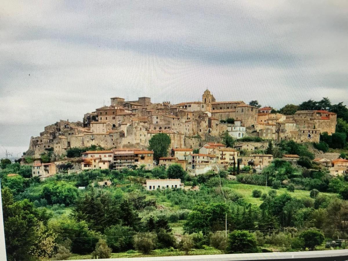 Castiglione Apartament You&Me Apartment Castiglione In Teverina Bagian luar foto